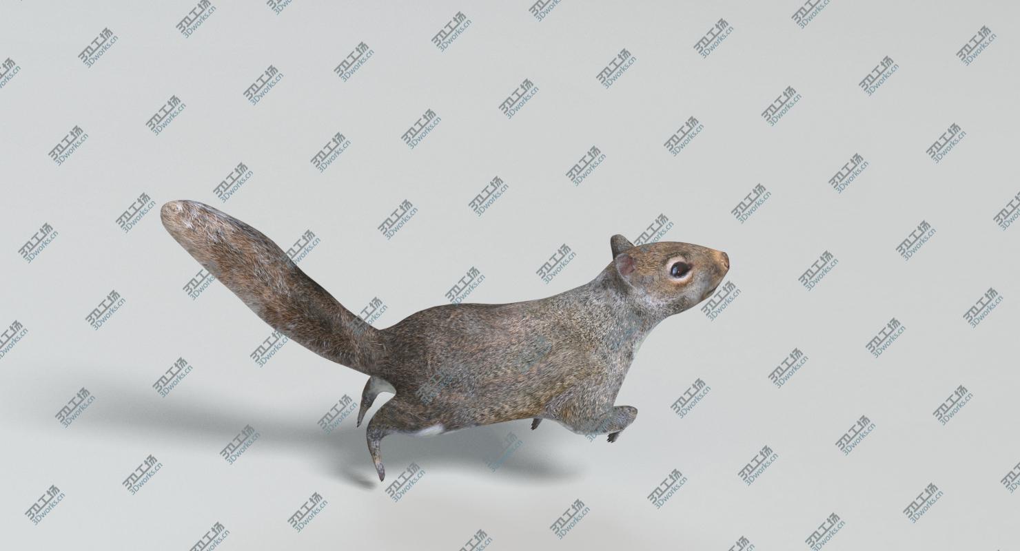 images/goods_img/2021040231/3D Animated Game Animals Set 1 model/4.jpg